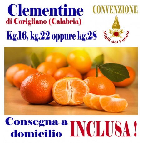 Box Kg.16, KG.22 opp kg.28 di CLEMENTINE - TRASPORTO INCLUSO