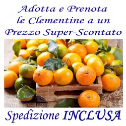 Prenota Le CLEMENTINE con Trasporto GRATUITO