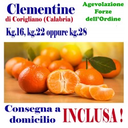 Box Kg.16, KG.22 opp kg.28 di CLEMENTINE - TRASPORTO INCLUSO