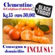 Offerta Black Friday Kg.15 di CLEMENTINE - TRASPORTO INCLUSO