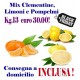 Offerta Black Friday Kg.13 di Agrumi: CLEMENTINE, LIMONI e POMPELMI - TRASPORTO INCLUSO