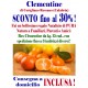 SCONTO Fino al 30% - BOX da Kg.15 cad. di CLEMENTINE - TRASPORTO INCLUSO