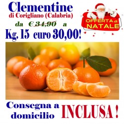 Offerta Natale  Kg.15 di CLEMENTINE - TRASPORTO INCLUSO